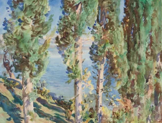 Corfu- Cypresses